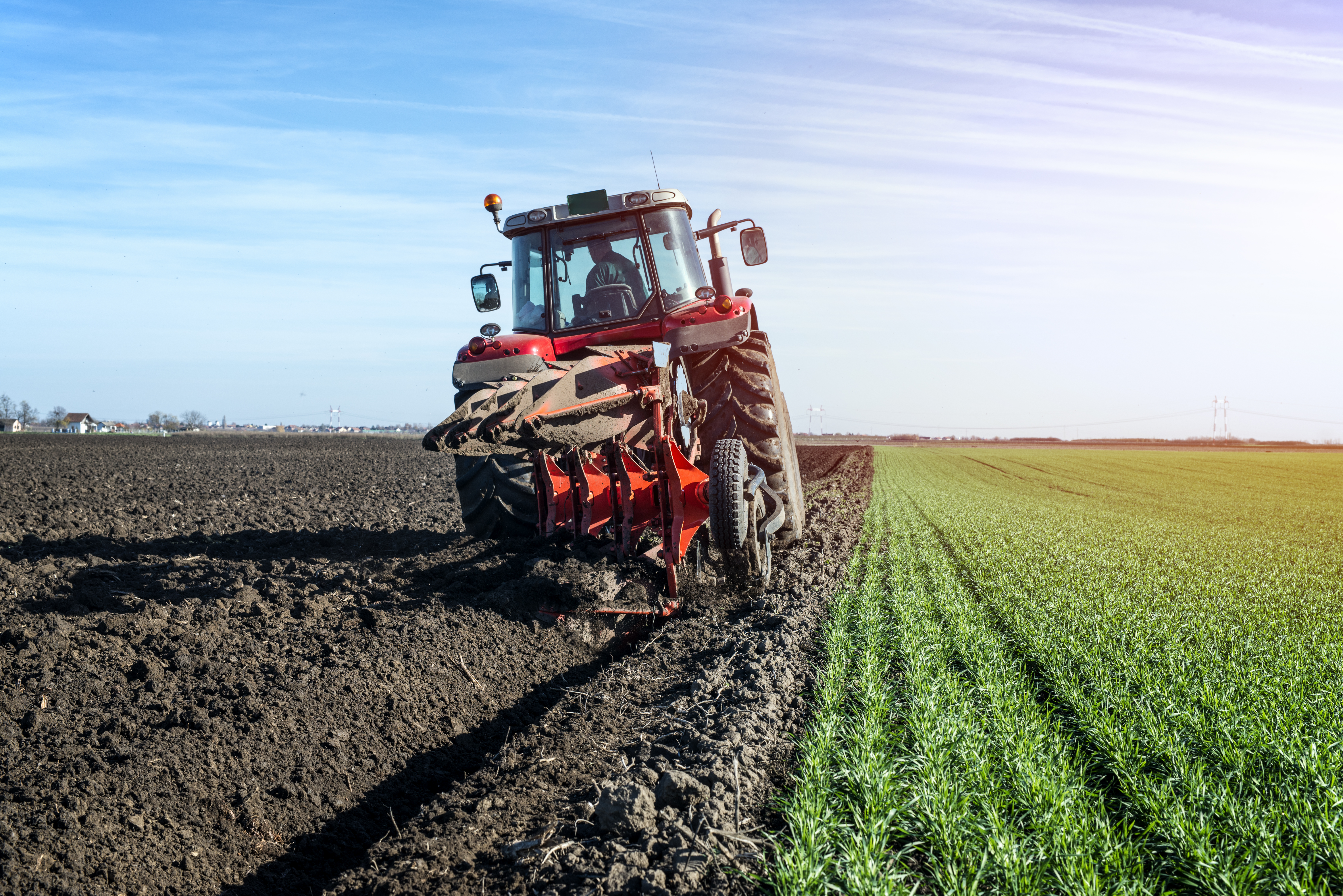 Tracteur dans champ de manioc