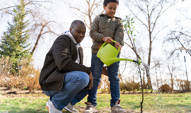 Plantation d'arbres - Actions environnementales