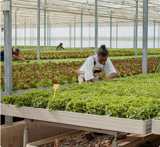 Formation de producteurs